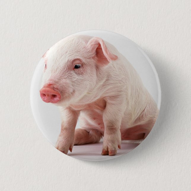 Badge Rond 5 Cm Petit porc (Devant)