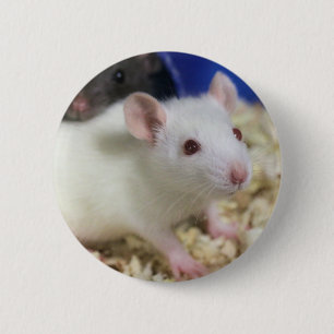 Badge Rond 5 Cm Petit rat