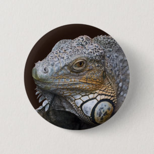 Badge Rond 5 Cm Petit sac dragon
