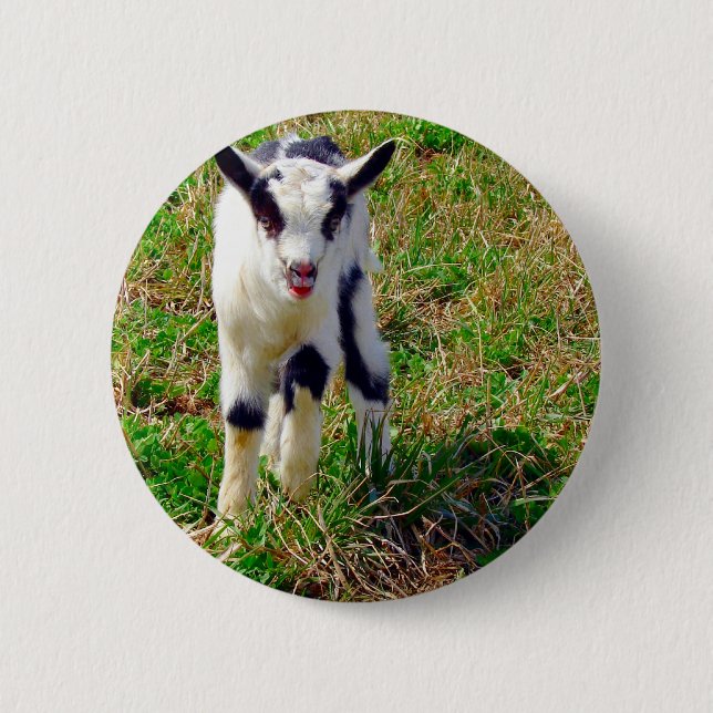 Badge Rond 5 Cm Petit spot (Devant)