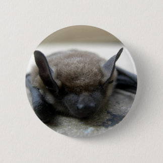 Badge Rond 5 Cm Petite chauve-souris brune (Myotis lucifugus)