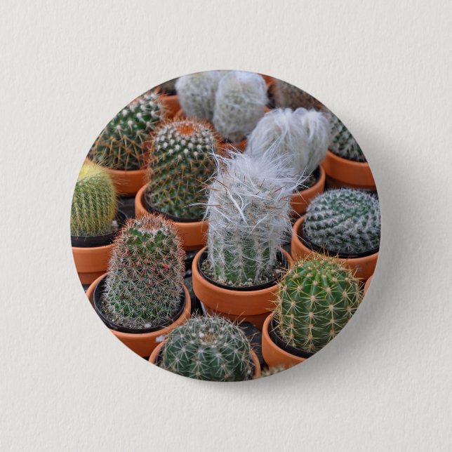 Badge Rond 5 Cm Petits plantes de cactus (Devant)