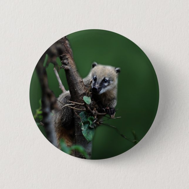 Badge Rond 5 Cm Petits rascals coati - lemur (Devant)