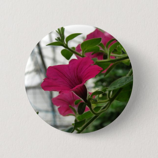 Badge Rond 5 Cm Petunia (Devant)