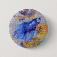 Peu de poissons bleus de Betta