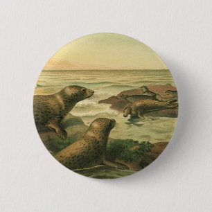 Badge Rond 5 Cm Phoques léopards, Animaux Aquatiques Marins Vintag