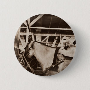 Badge Rond 5 Cm Photo Cheval d'apparence antique