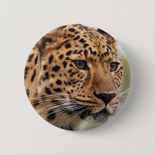 Badge Rond 5 Cm Photo de léopard (Devant)