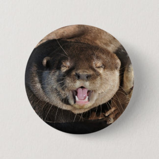 Badge Rond 5 Cm Photo de loutre