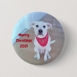 Badge Rond 5 Cm Photo d'un chien mignon avec un bâton amusant hors