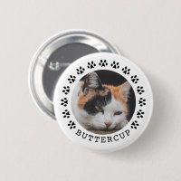 Photo Empreintes de pattes de chats noirs