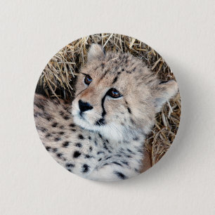 Badge Rond 5 Cm Photo mignonne de CUB de guépard