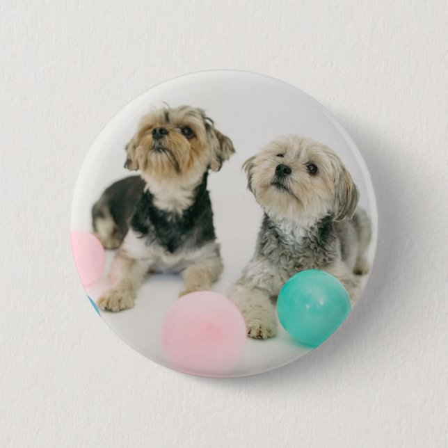 Badge Rond 5 Cm Photo pour animaux de compagnie personnalisée ou b (Devant)