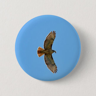Badge Rond 5 Cm Photo Rouge-Coupée la queue de faucon