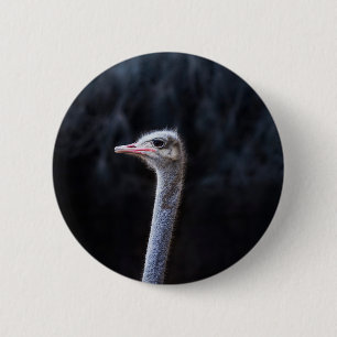 Badge Rond 5 Cm Photographie d'autruche