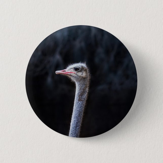 Badge Rond 5 Cm Photographie d'autruche (Devant)