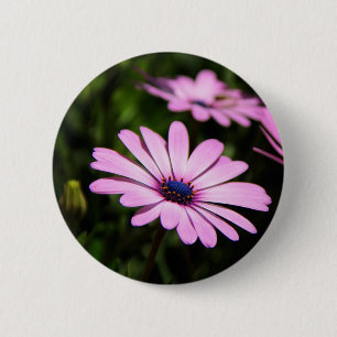 Badge Rond 5 Cm Photographie de fleur de Marguerite africaine
