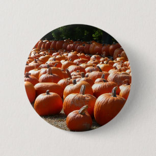 Badge Rond 5 Cm Photographie de la récolte automnale de citrouille