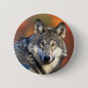 Badge Rond 5 Cm Photographie de loup