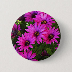 Badge Rond 5 Cm Photographie de Marguerite Africaine Violette