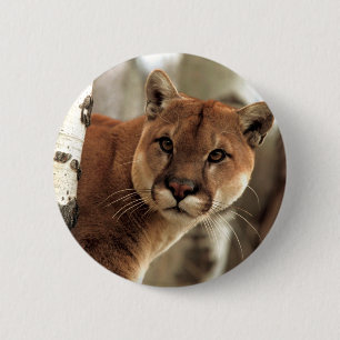 Badge Rond 5 Cm Photographie de puma