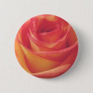 Badge Rond 5 Cm Photographie vintage de style de fleur de rose de