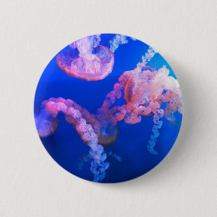 Badge Rond 5 Cm Photos aquatiques nautiques Photographie d'animaux