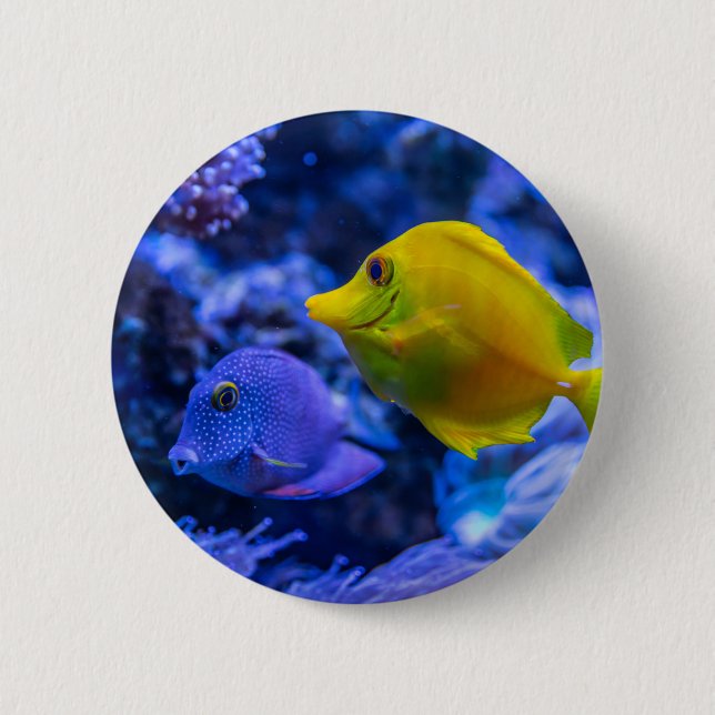 Badge Rond 5 Cm Photos nautiques Animaux marins Photographie Poiss (Devant)