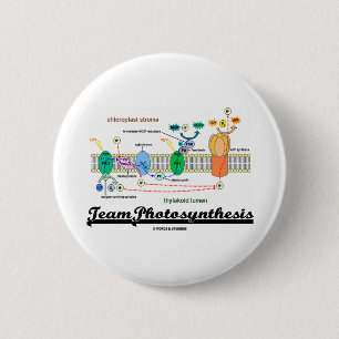 Badge Rond 5 Cm Photosynthèse d'équipe (réactions dépendant de