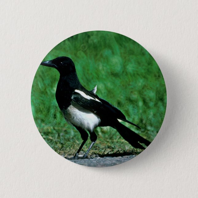 Badge Rond 5 Cm Pie (Devant)