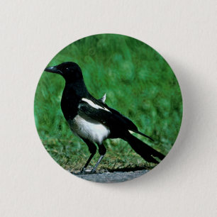 Badge Rond 5 Cm Pie