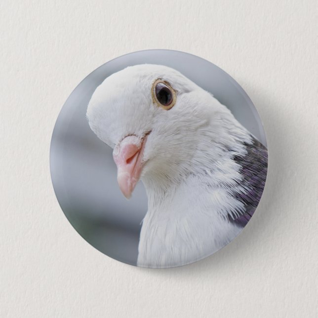 Badge Rond 5 Cm Pigeon (Devant)