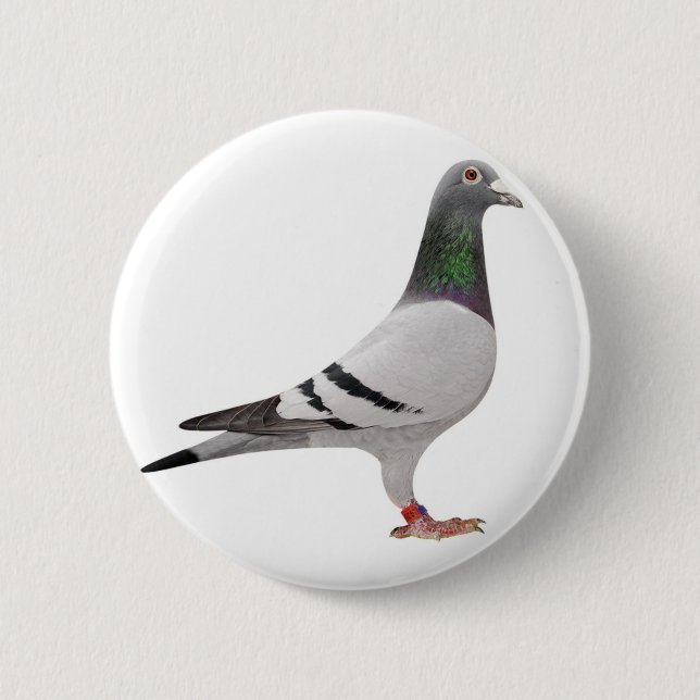 Badge Rond 5 Cm pigeon design (Devant)