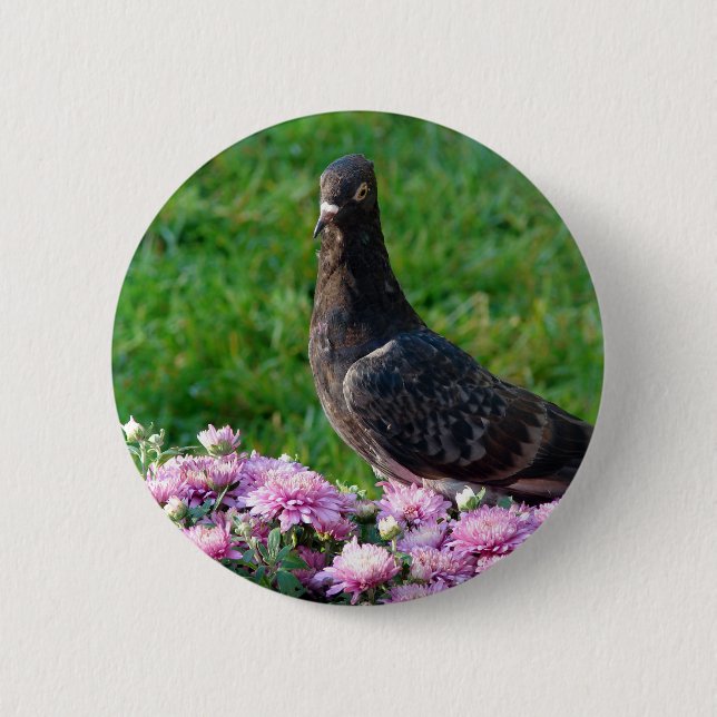 Badge Rond 5 Cm Pigeon et maman (Devant)