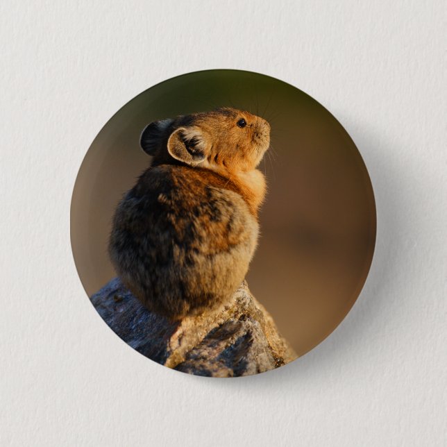 Badge Rond 5 Cm pika (Devant)
