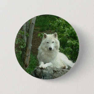 Badge Rond 5 Cm Pin arctique de loup