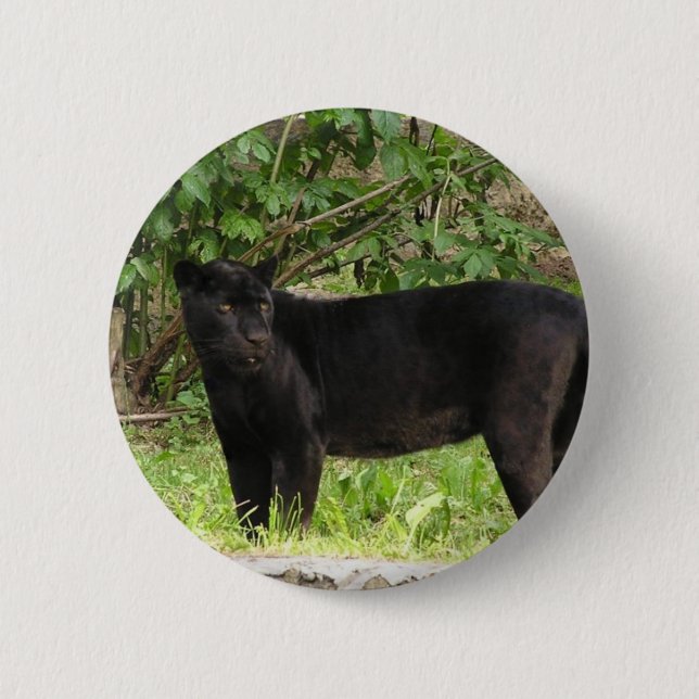 Badge Rond 5 Cm Pin arpentant de panthère (Devant)