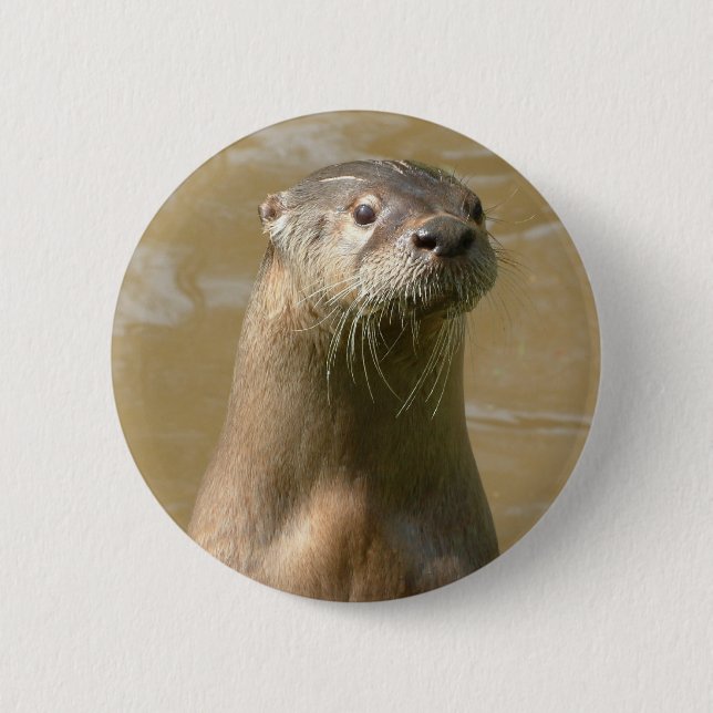 Badge Rond 5 Cm Pin curieux de loutre (Devant)