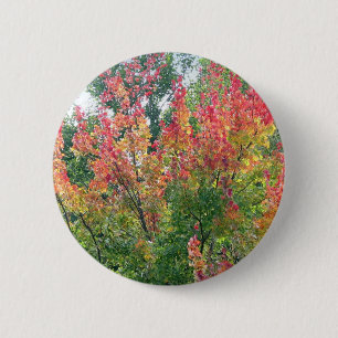 Badge Rond 5 Cm Pin d'automne