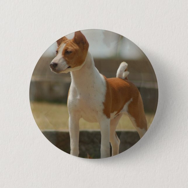 Badge Rond 5 Cm Pin de Basenji (Devant)