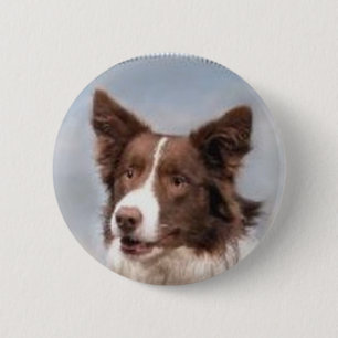 Badge Rond 5 Cm Pin de border collie