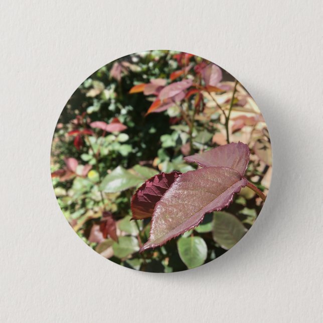 Badge Rond 5 Cm Pin de feuille (Devant)