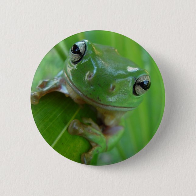Badge Rond 5 Cm Pin de grenouille (Devant)