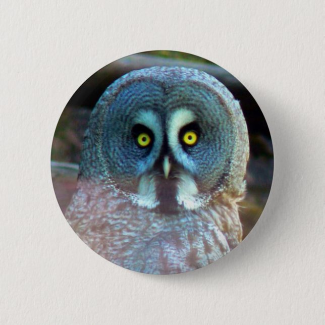 Badge Rond 5 Cm Pin de hibou (Devant)