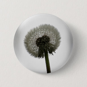 Badge Rond 5 Cm Pin de pissenlit