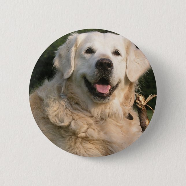 Badge Rond 5 Cm Pin doux de golden retriever (Devant)