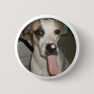 BADGE ROND 5 CM PIN DRÔLE DE CHIEN
