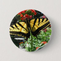 Pin oriental de papillon de machaon de tigre