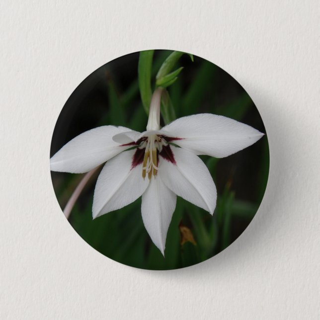 Badge Rond 5 Cm Pin rond de fleur d'orchidée (Devant)