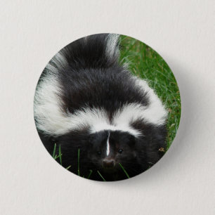 Badge Rond 5 Cm Pin rond de mouffette
